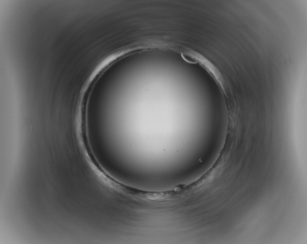 X0000115551147200911061528