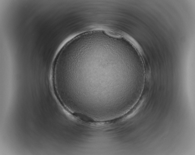 X0000115551149200911061528