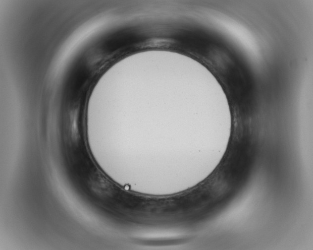 X0000115551150200911061528