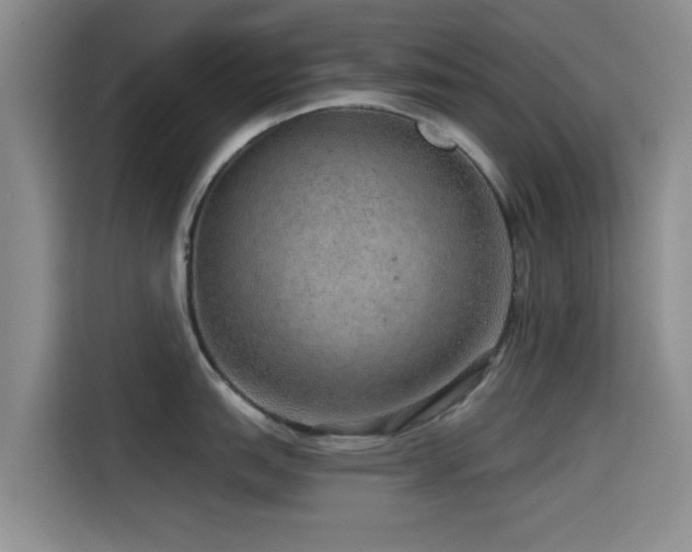 X0000115551151200911061528