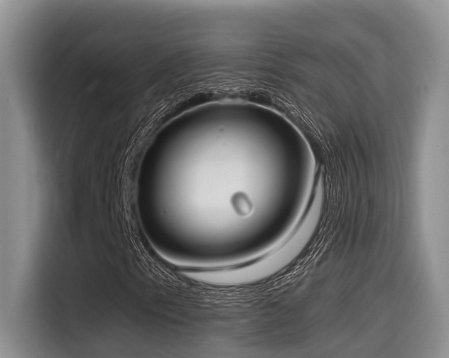 X0000115551153200911061527