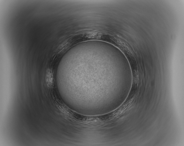 X0000115551154200911061527