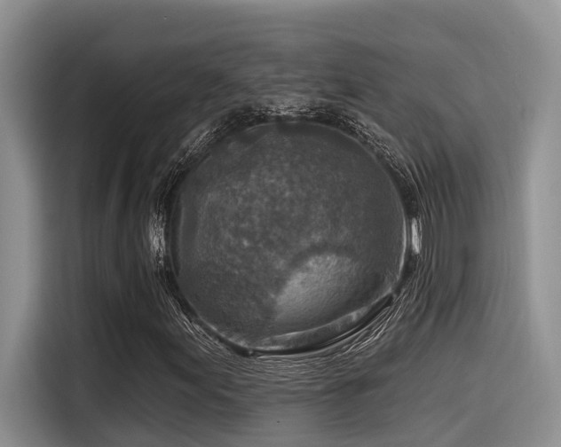 X0000115551155200911061527