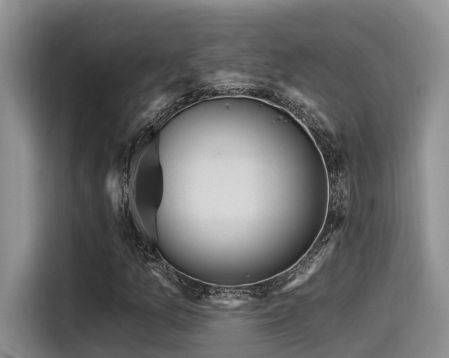 X0000115551157200911061527