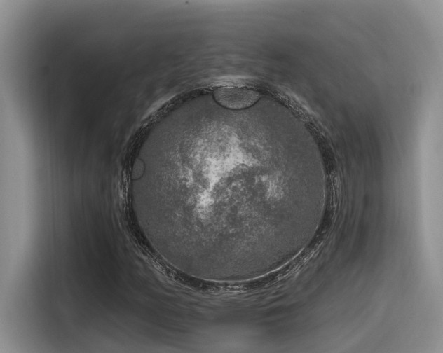 X0000115551158200911061527