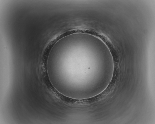 X0000115551159200911061527