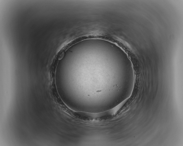 X0000115551160200911061527