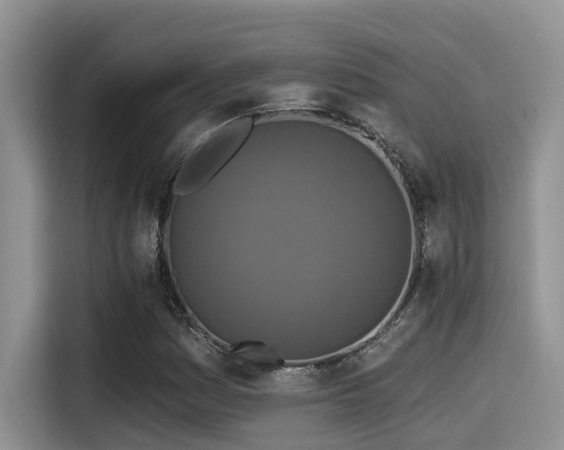 X0000115551161200911061527