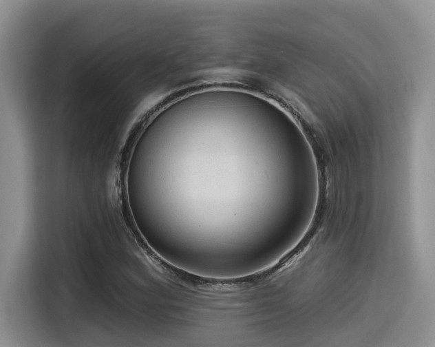 X0000115551164200911061527