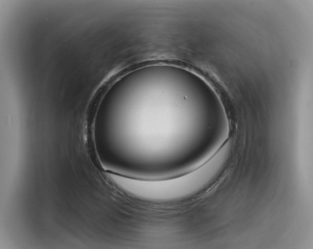 X0000115551165200911061527