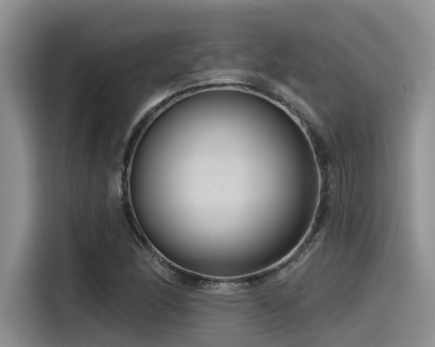 X0000115551166200911061527