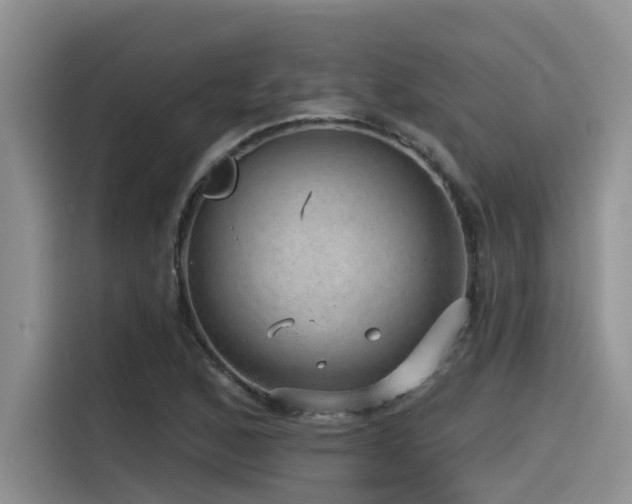 X0000115551168200911061527