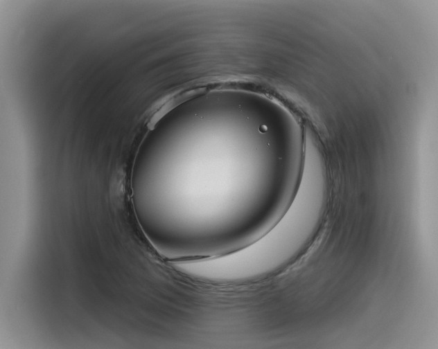 X0000115551169200911061527