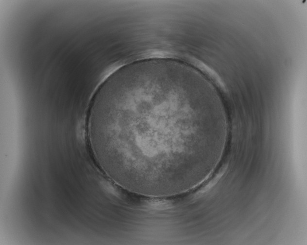 X0000115551170200911061527