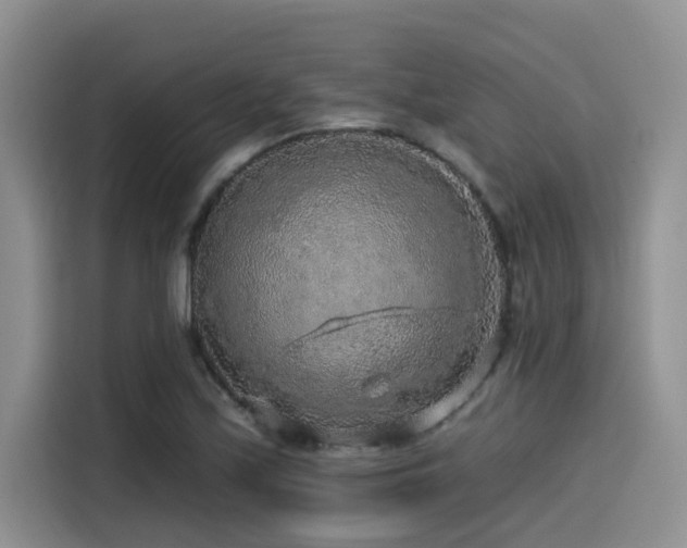 X0000115551171200911061527