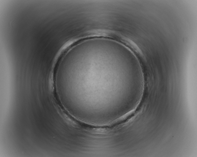 X0000115551172200911061527