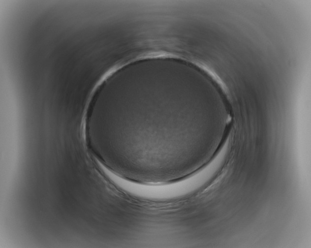 X0000115551173200911061527