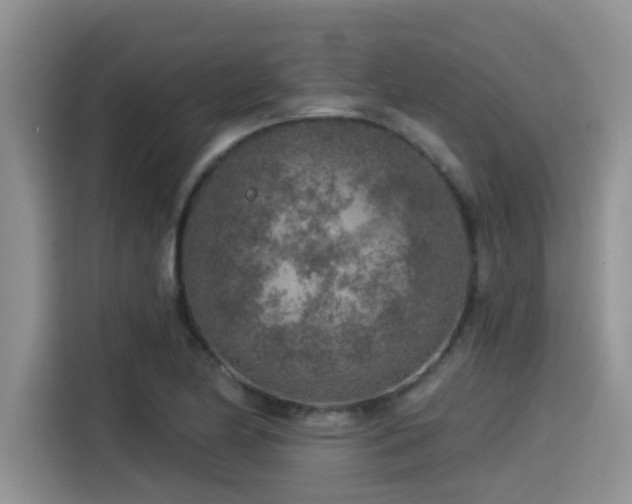 X0000115551174200911061527