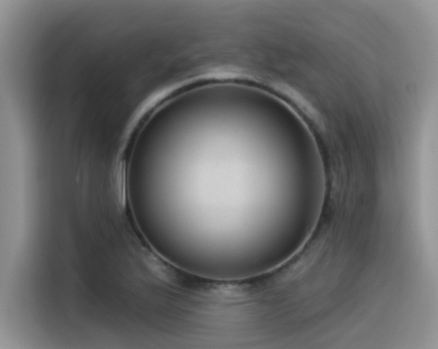 X0000115551175200911061527