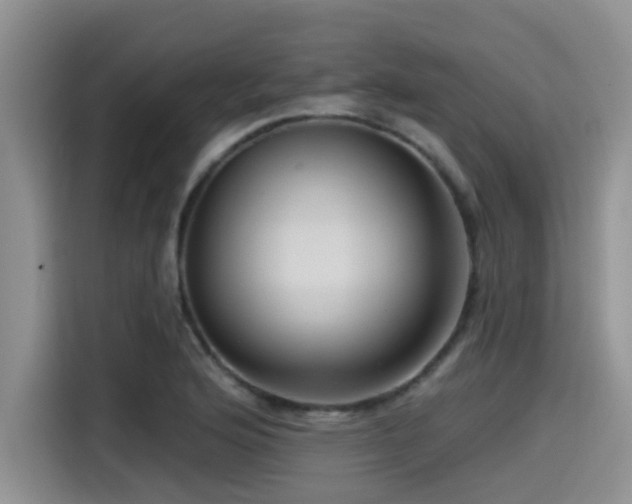 X0000115551176200911061527