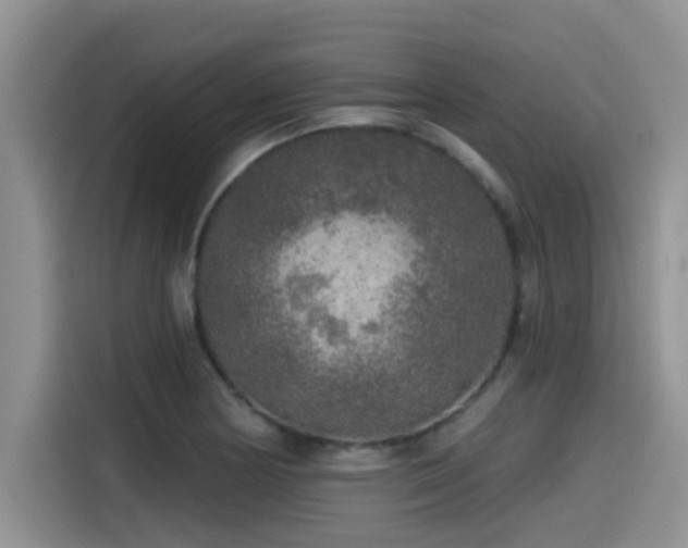 X0000115551178200911061527