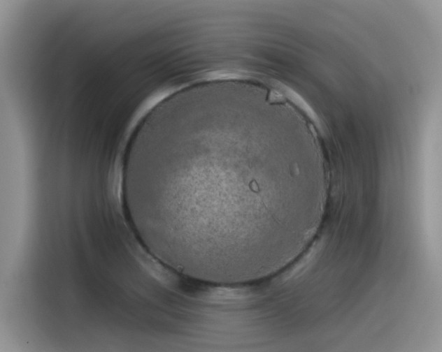 X0000115551179200911061527