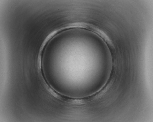 X0000115551180200911061527