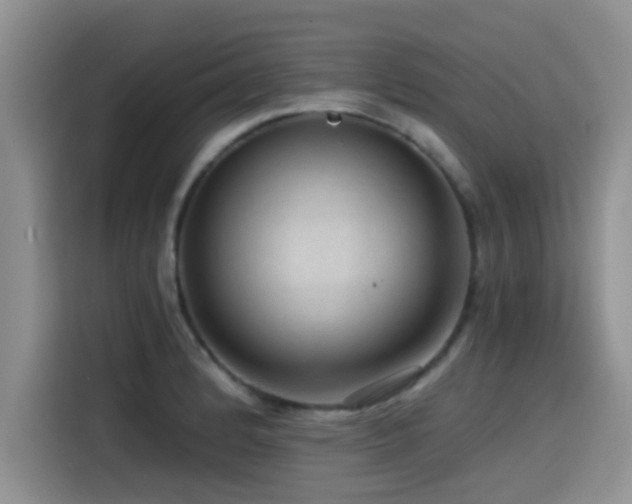 X0000115551184200911061527