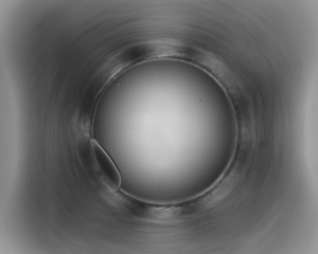 X0000115551185200911061527