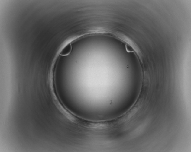 X0000115551187200911061527