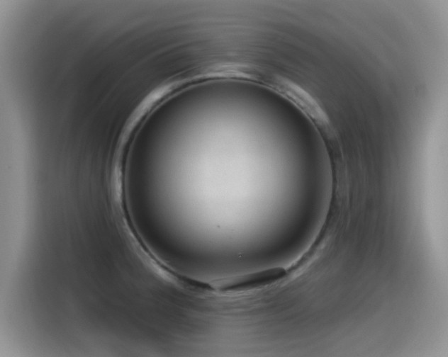 X0000115551188200911061527