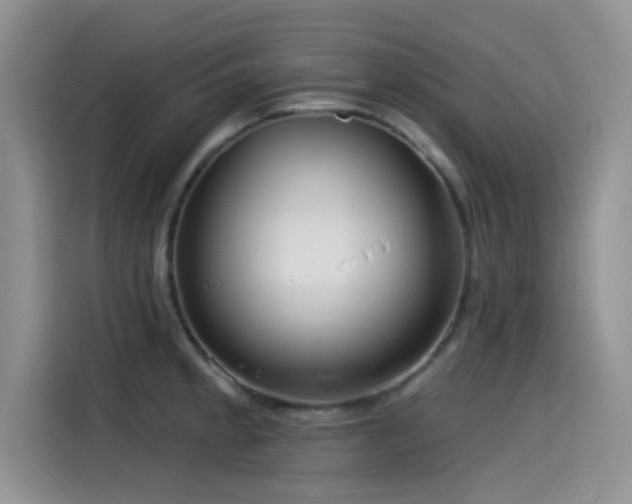 X0000115551189200911061527