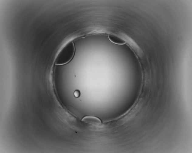 X0000115551190200911061527