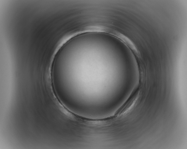 X0000115551192200911061527