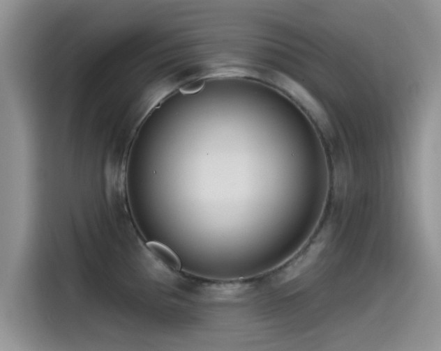 X0000115551193200911061527