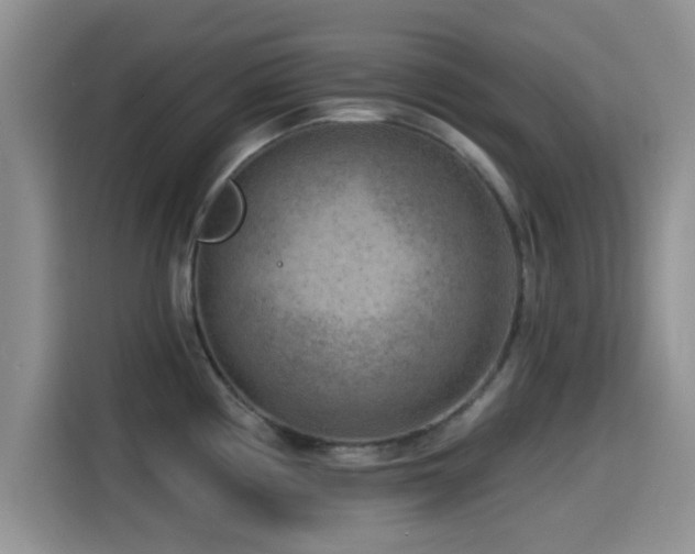 X0000115551194200911061527