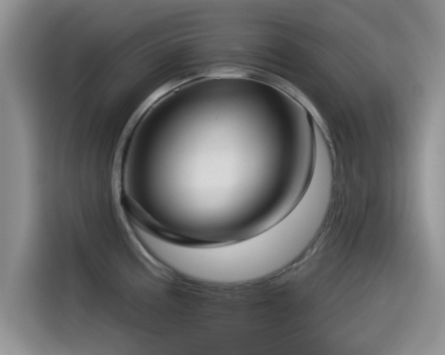 X0000115551195200911061527