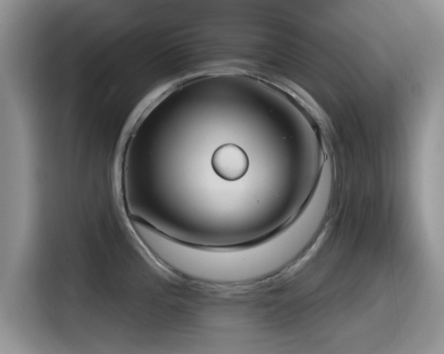 X0000115551196200911061527