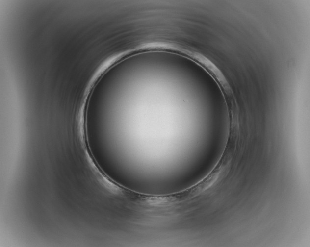 X0000115551199200911061526