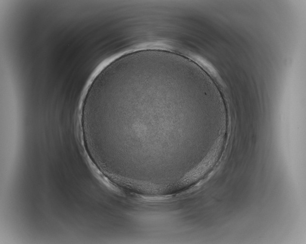 X0000115551200200911061526