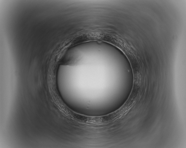 X0000115551201200911061526