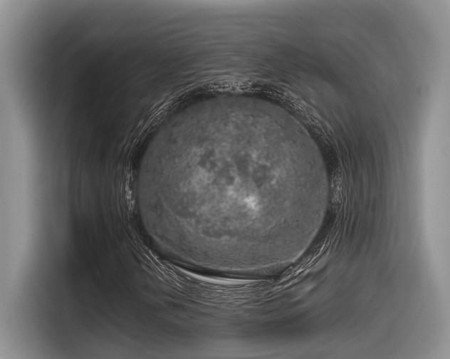 X0000115551202200911061526