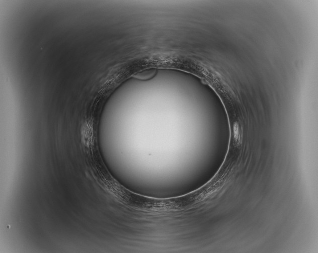 X0000115551203200911061526