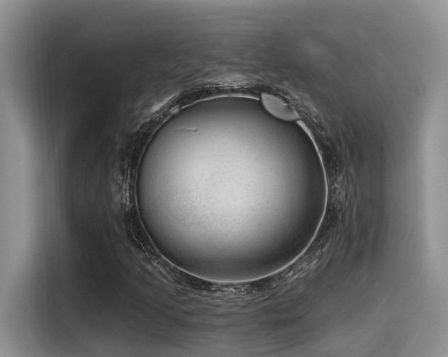 X0000115551205200911061526
