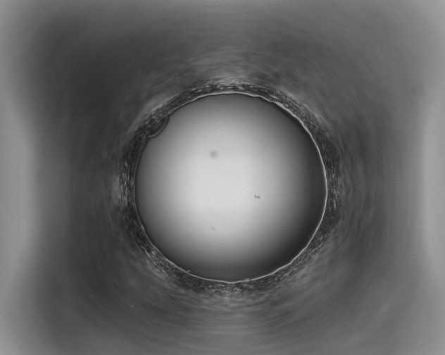 X0000115551207200911061526