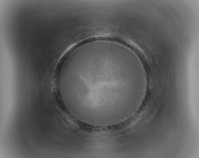 X0000115551208200911061526