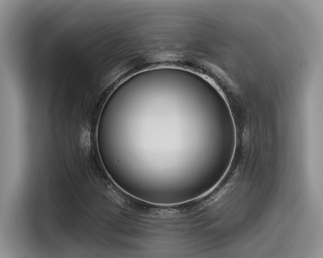 X0000115551209200911061526