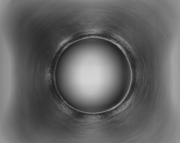 X0000115551210200911061526