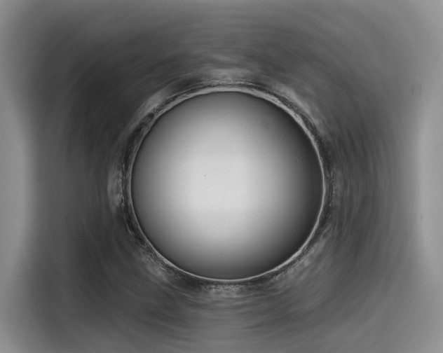 X0000115551211200911061526