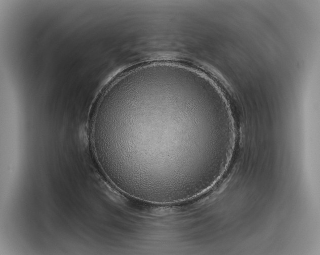 X0000115551212200911061526